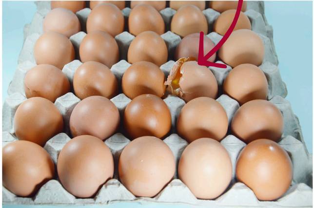 如何正確選擇食用雞蛋