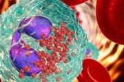 查血發現嗜酸性粒細胞高，需要怎麼辦？什麼時候提示嚴重？