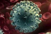東京發現 「E484K」新型病毒，疫苗恐難對付