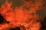 加州納帕酒鄉山火肆虐，一夜燒光1.2萬英畝
