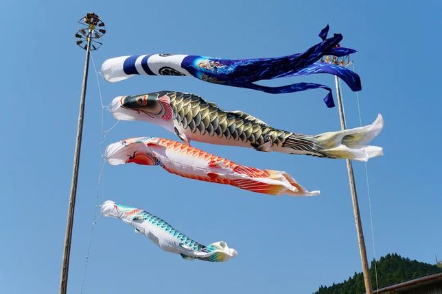 日本鯉魚旗的原型，這下似乎也找到了