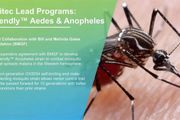 美國在本土釋放7.5億隻轉基因蚊子，執行「蚊子滅絕」計劃