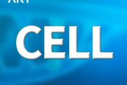 Cell | Hiro Furukawa與NMDA受體17載：再度解析結構，繪製機制藍圖
