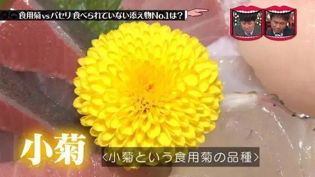 食用菊 日本的重陽節 菊花節 要吃菊花 Vito雜誌