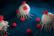 Nature​：腫瘤和免疫細胞搶「蛋」？鄒偉平談腫瘤影響T細胞代謝和功能新機制