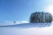 唯美攝影，如何表現出冬日的寧靜？