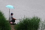 釣友分享私藏的雨後釣鯽魚的方法！