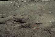 中國月球車在月球背面發現奇怪的岩石