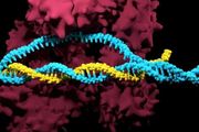 基因編輯開創者Doudna帶來CRISPR重大革新​！遞送系統變革在即