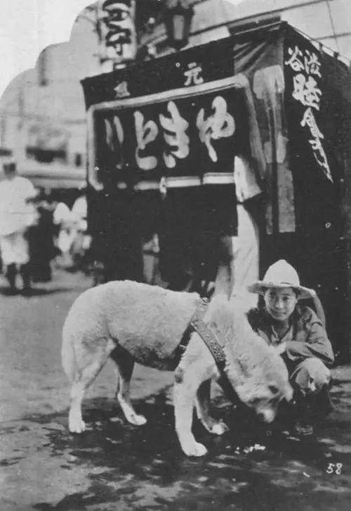 直至1932年，日本犬保會的工作人員