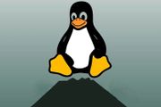 「冰凍荒原」版 Linux 核心有bug，不要使用！Linus Torvalds 警告併發布 5.12-rc2 版本