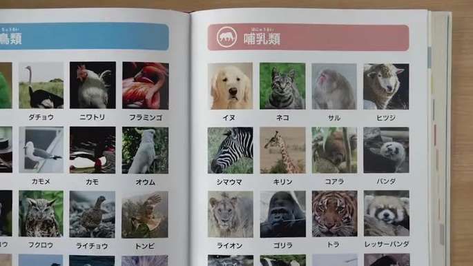 日本這個1分鐘視頻 告訴你排版設計有多重要 Vito雜誌