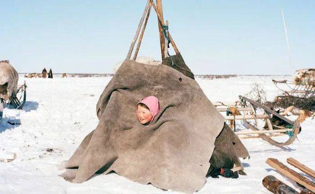 俄羅斯北極土著涅涅茨人的傳統帳篷 / Cristian Barnett