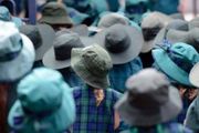 新冠病毒：雪梨又有2所學校關閉，所有學生被隔離