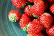 最髒水果排行榜瘋傳，連續6年Top1的草莓還能吃嗎？