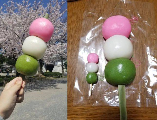 愛知縣岡崎公園的櫻花祭名產：巨大花見糰子