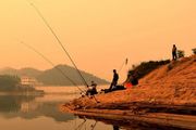 夏季釣魚使用魚餌的四個技巧