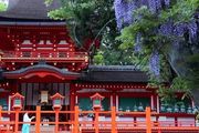 奈良：日本最古老的首都，除了觀鹿，還能這麼玩？