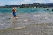 紐西蘭海灘游泳，老公消失半小時，妻子崩潰，結果意想不到