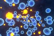 Science 微生物組學大獎：免疫細胞與共生菌群促進組織修復的研究摘冠