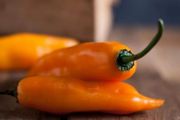 350個辣椒品種！秘魯人有多愛吃辣？