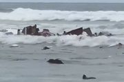 數十名非法移民搭乘小木船，在聖地亞哥被海浪拍碎，3死27傷