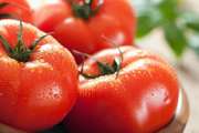 尖頭西紅柿用了激素？未成熟的有毒？