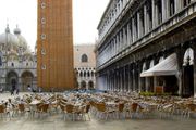 威尼斯三百歲「花神咖啡廳」恐關門，義大利企業呈崩潰狀態